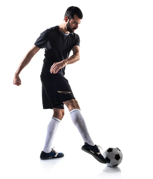 MK体育官方运动用户场景